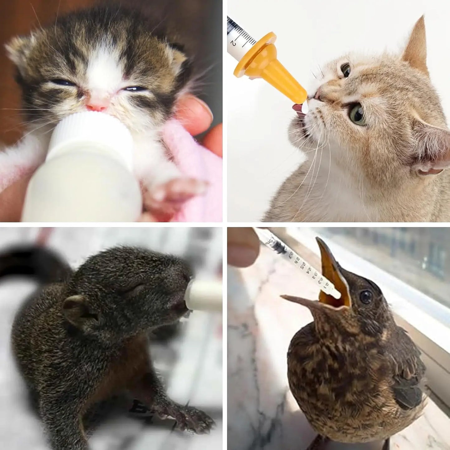 Pet Nursing Bottle & Nipple Feeding Set for Cats & Rabbits