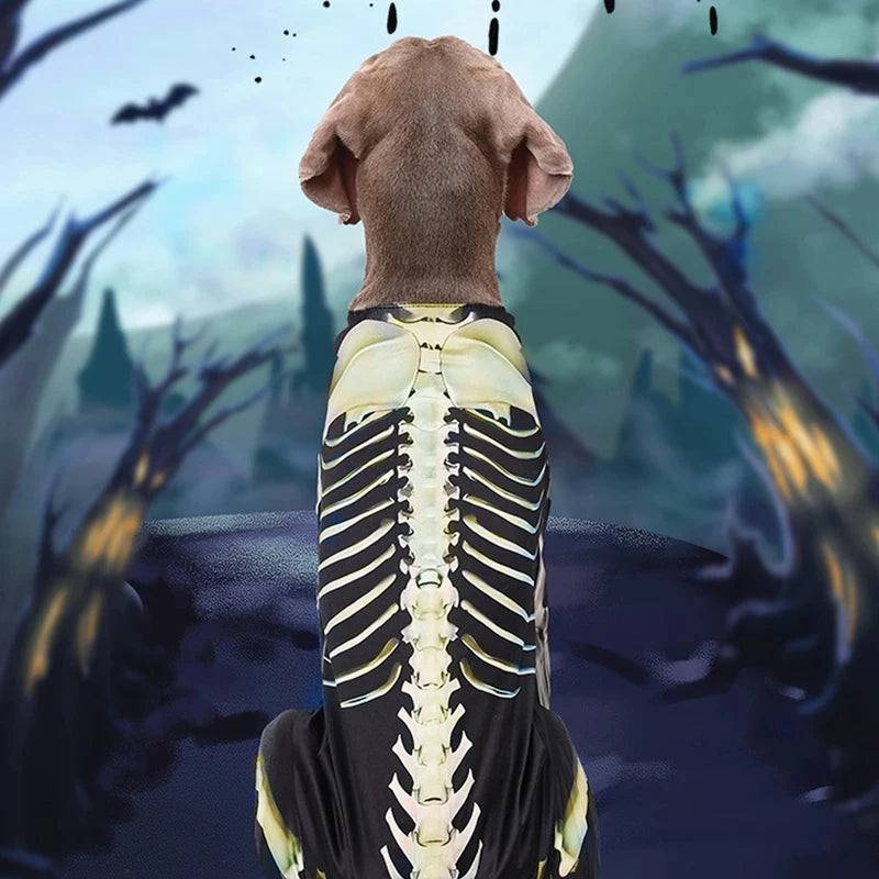 Pet Dog Halloween Costume Skeleton Dog Transformation Outfit Comfortable and Cool Large Dog Clothes Pet Supplies