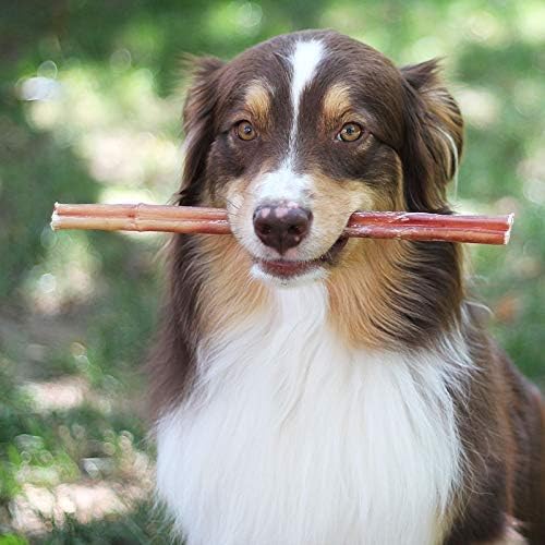 Brazilian Grass-Fed Beef Bully Sticks