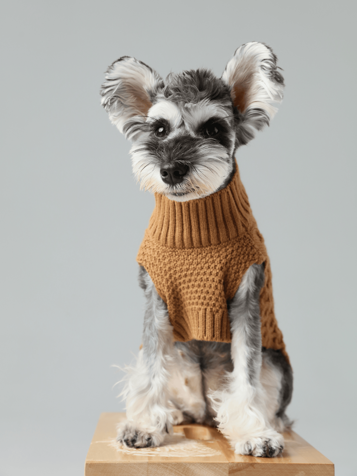 Pet Sweater Vest - Toffee Orange