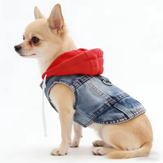Denim Hoodie Jacket for Small Dogs – Puppy Jeans Coat with Cap