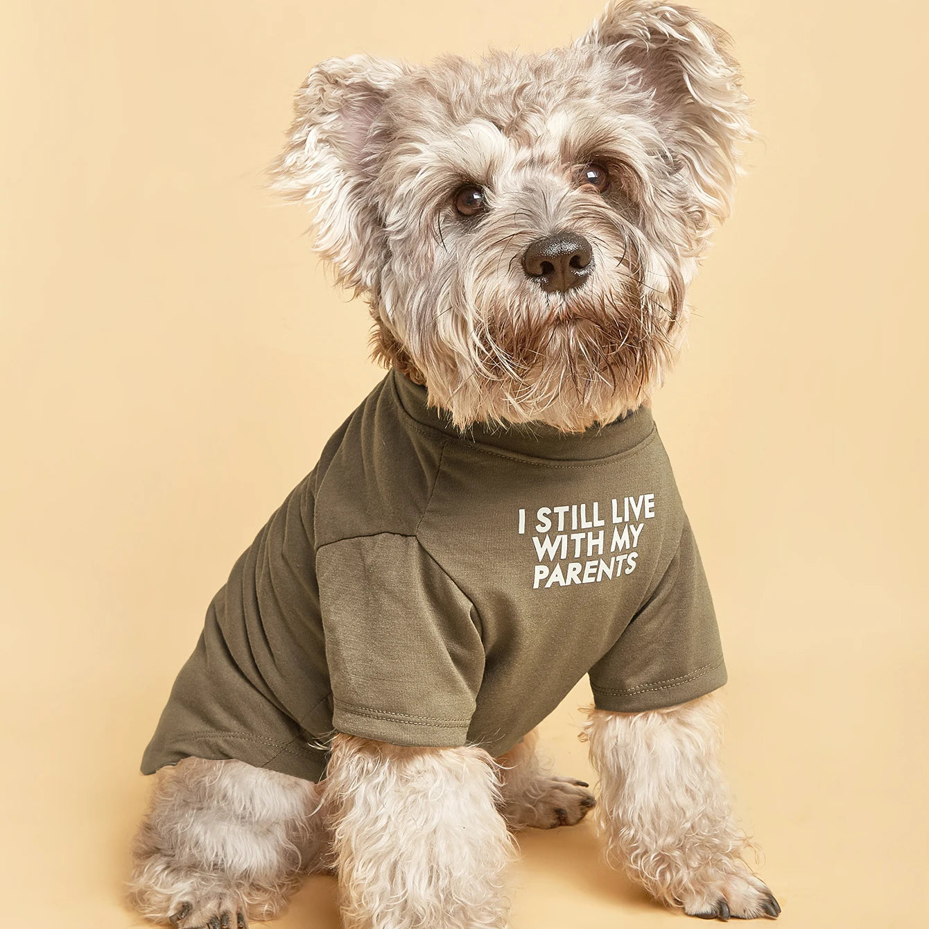 Cute Dog T-Shirt | Breathable Soft Pullover for Small & Medium Dogs
