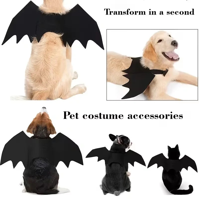 2pcs Halloween Bat Costume Set Cute Pet Festive Accessories Bat Wings With Collar Leash For Cats And Dogs