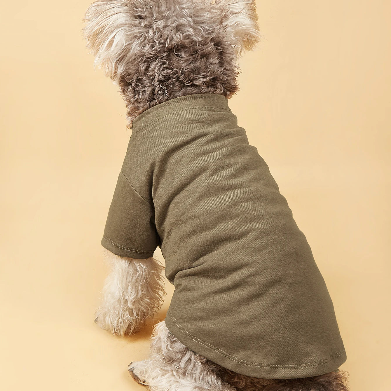 Cute Dog T-Shirt | Breathable Soft Pullover for Small & Medium Dogs