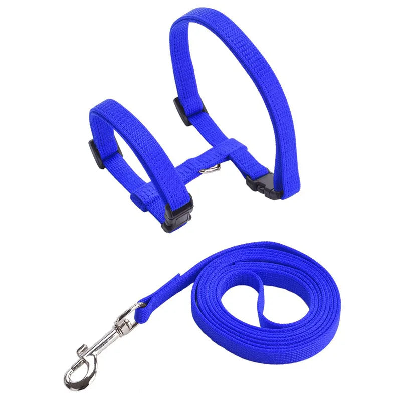 Adjustable Nylon Cat Harness & Leash Set