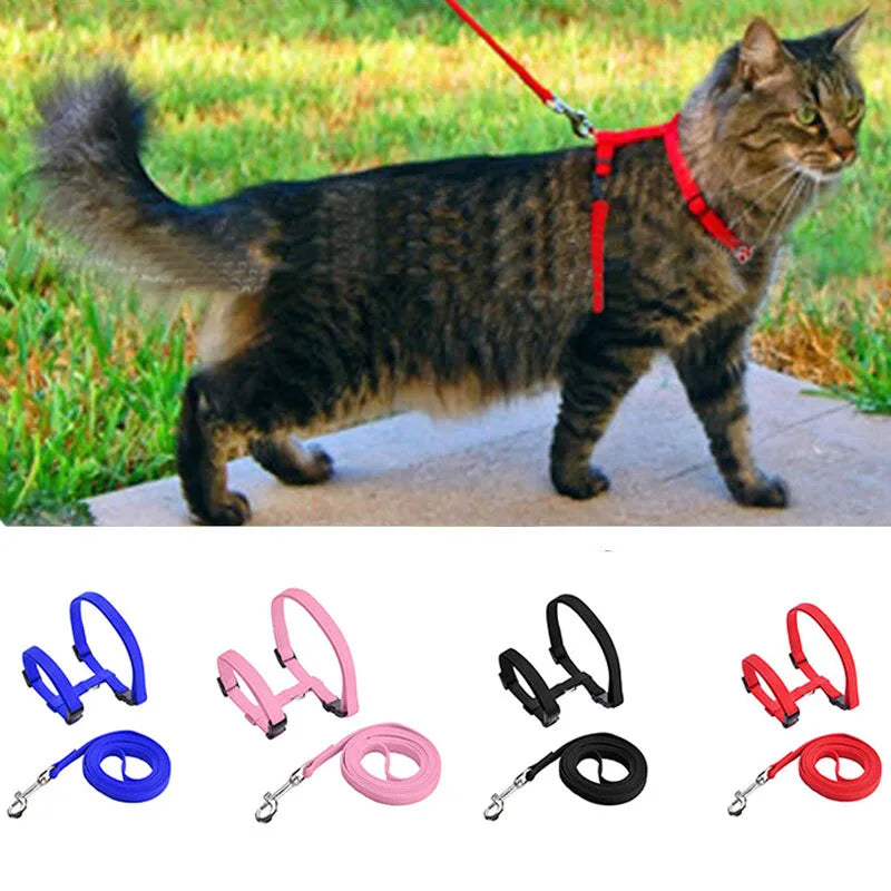 Adjustable Nylon Cat Harness & Leash Set