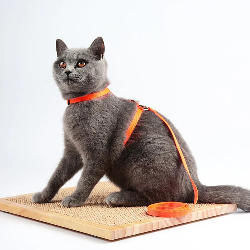 Adjustable Nylon Cat Harness & Leash Set