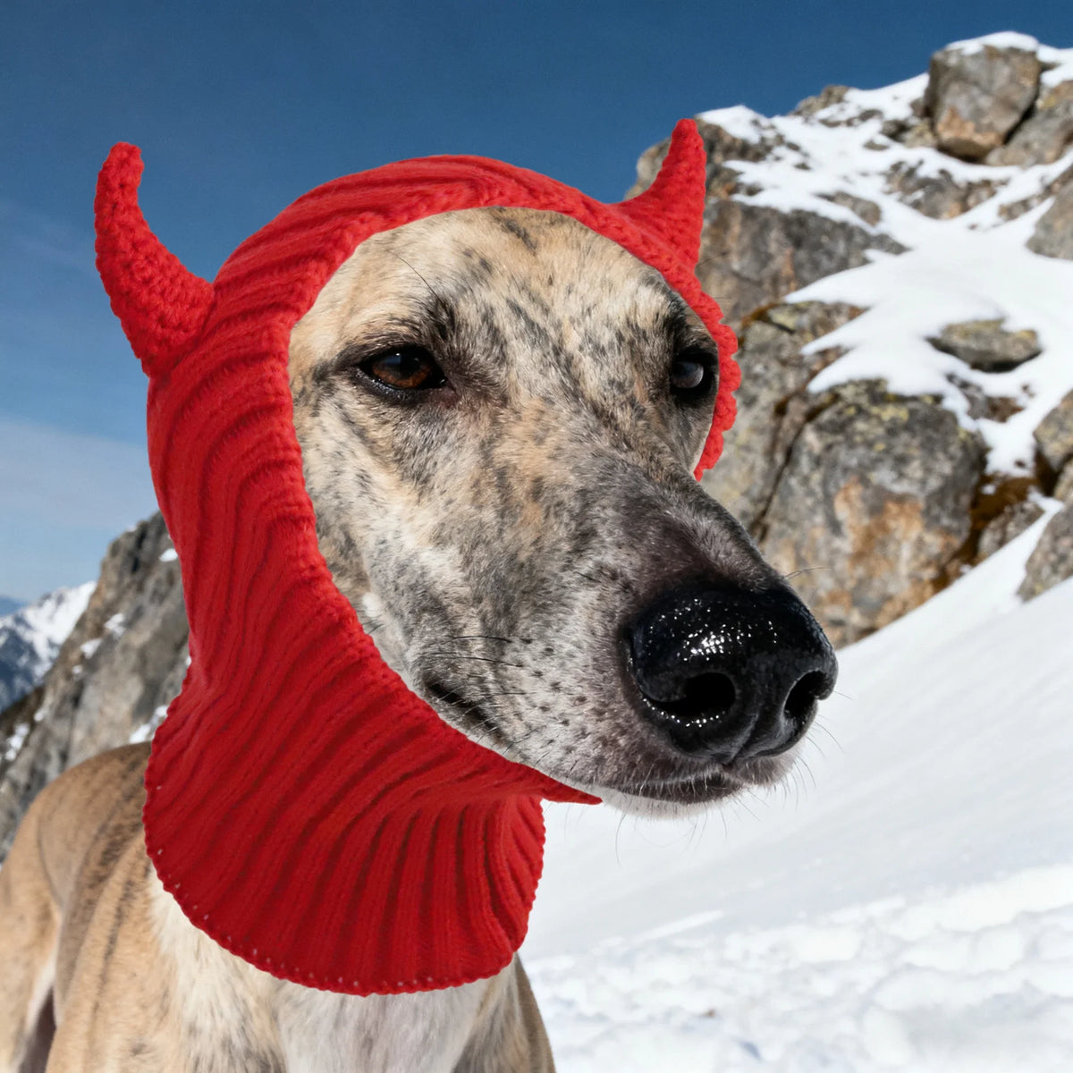 The dog hats for autumn and winter are novel in style and a must-have for going out