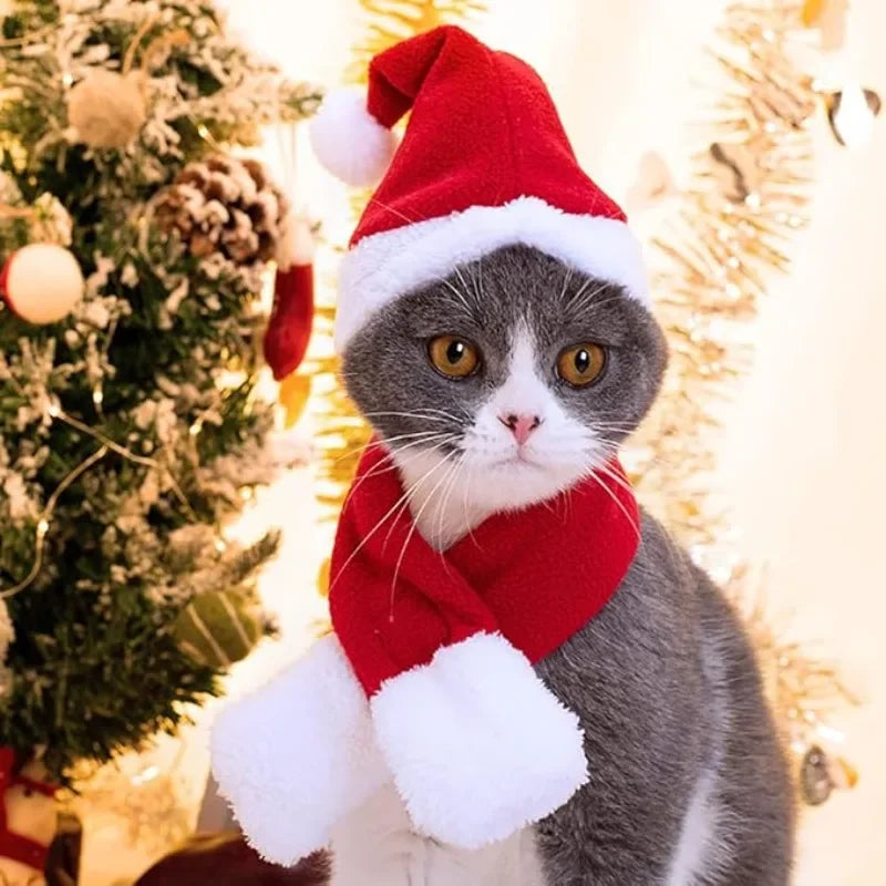 Christmas Pet Outfit for Dogs and Cats Soft Santa Hat and Scarf Costume Ideal for Christmas Photos and Party Events