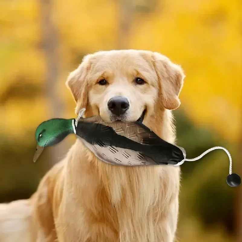 Simulation Mallard Duck Decoy Dog Training For Training Dogs Relaxing Pet Hunting Decoy Bite Resistant Dog Chew