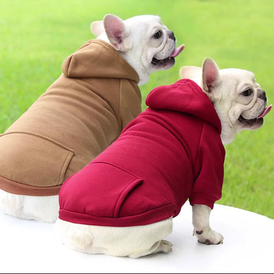 Warm Hoodie Coat for Small Dogs – Cozy Pullover for Chihuahuas & French Bulldogs