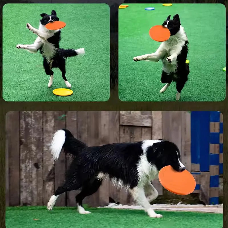 Durable Dog Frisbee Toy | Soft Rubber Flying Disc for Fetch & Training