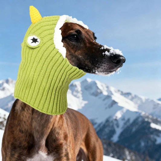 The dog hats for autumn and winter are novel in style and a must-have for going out