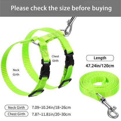 Adjustable Nylon Cat Harness & Leash Set
