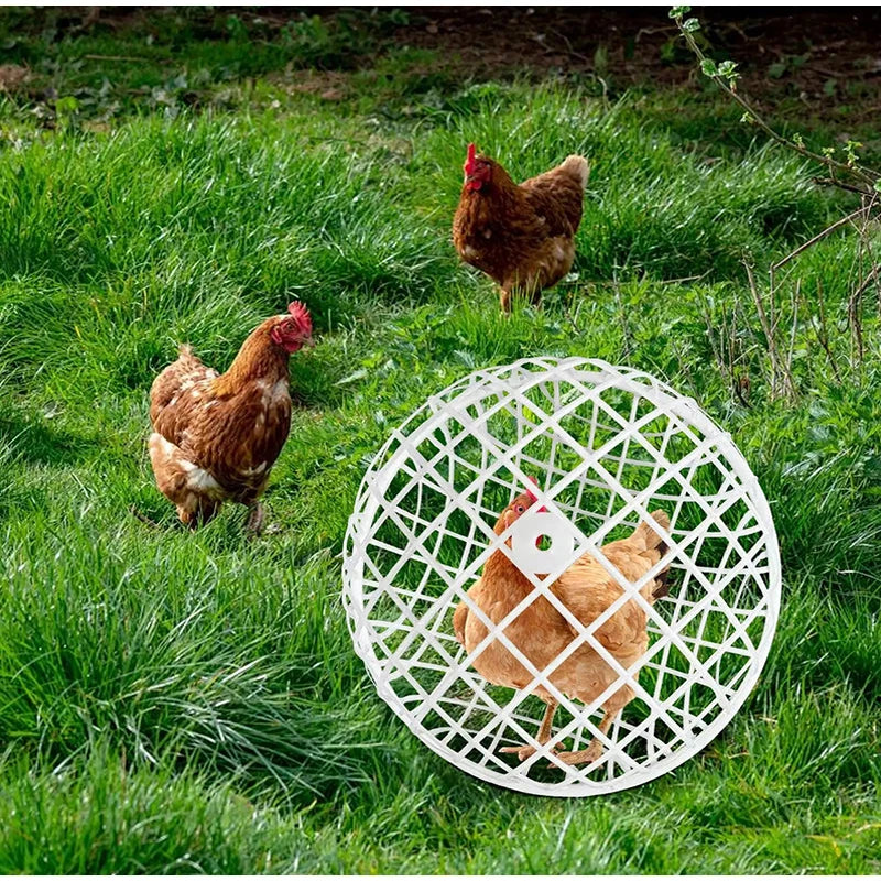 Chicken Balls Cage Outdoor Walkable Rolling Cage Portable Ventilated Chicken Ball Cage Chicken Tunnels for Outside Backyard Farm