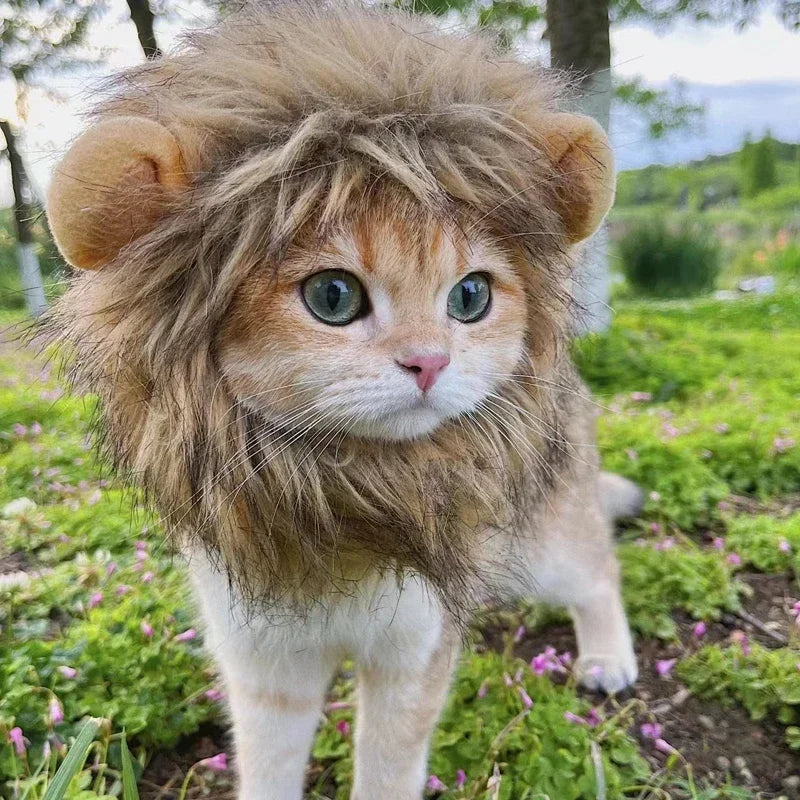 New Cute Funny Pets Clothes Cap Cute Cat Wig Lion Mane Costume Cosplay Kitten Dog Hat with Ears Fancy Party Supplies  halloween