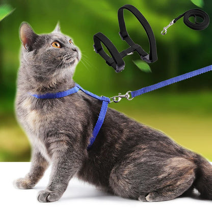 Adjustable Nylon Cat Harness & Leash Set