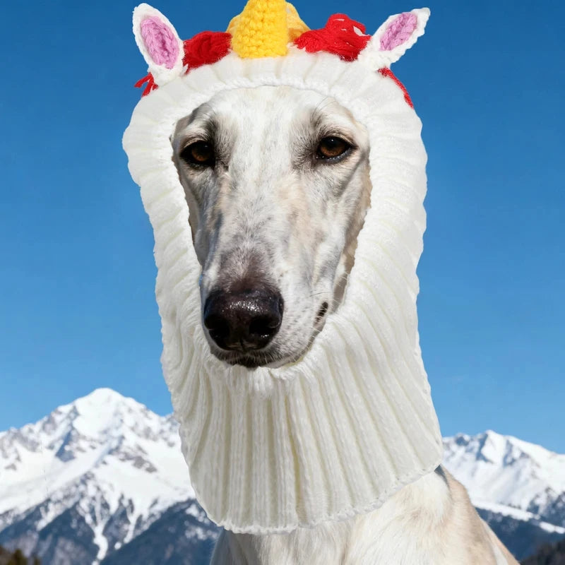 The dog hats for autumn and winter are novel in style and a must-have for going out