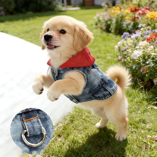 Denim Hoodie Jacket for Small Dogs – Puppy Jeans Coat with Cap
