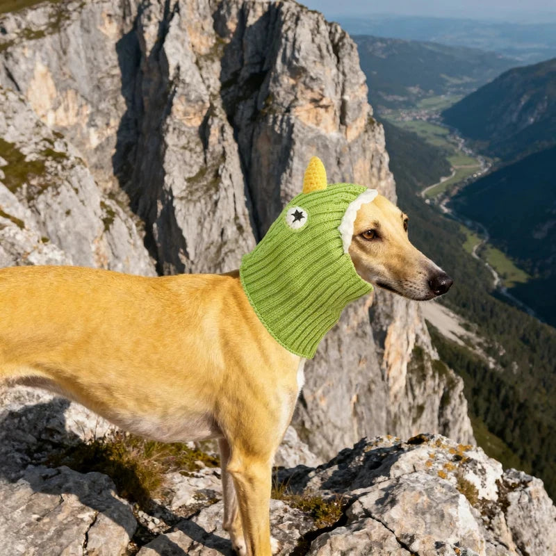 The dog hats for autumn and winter are novel in style and a must-have for going out