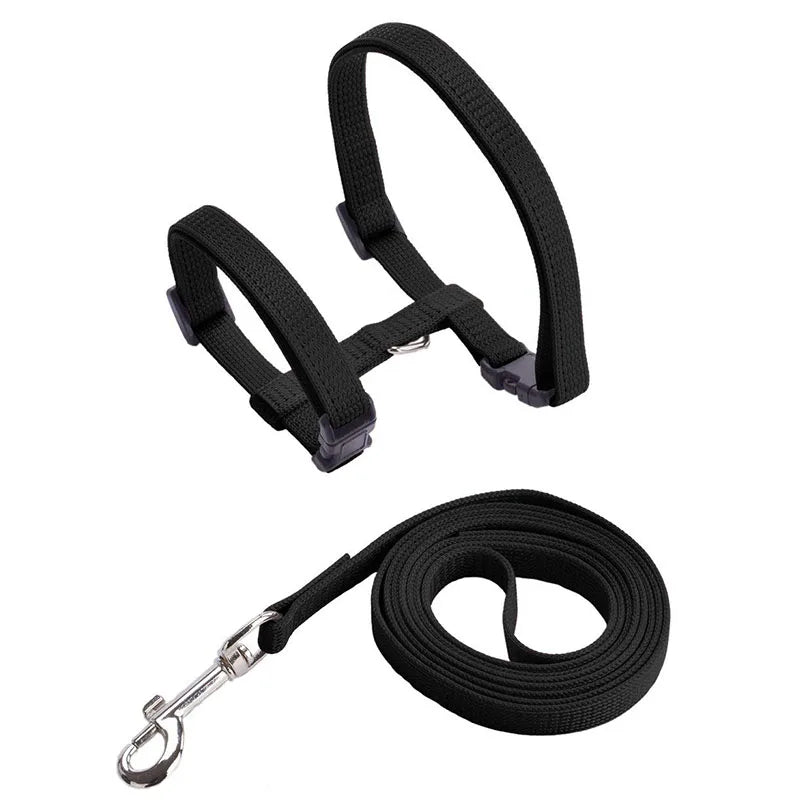 Adjustable Nylon Cat Harness & Leash Set