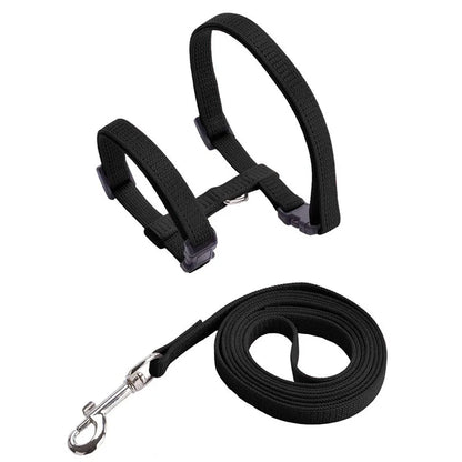 Adjustable Nylon Cat Harness & Leash Set