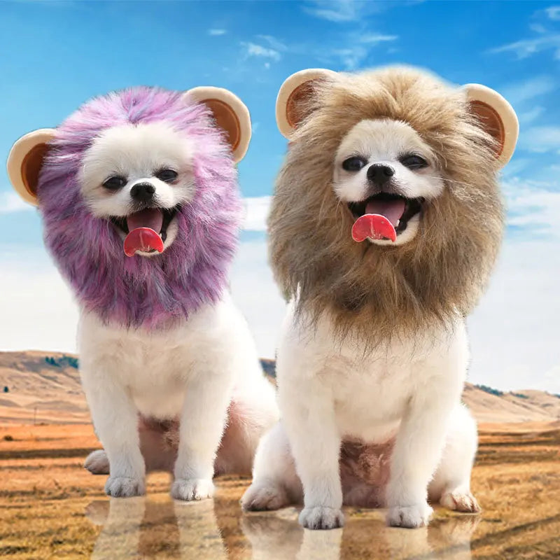 New Cute Funny Pets Clothes Cap Cute Cat Wig Lion Mane Costume Cosplay Kitten Dog Hat with Ears Fancy Party Supplies  halloween