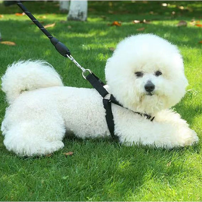 Dog Harness Dog Vest Strap Adjustable Triangular Breathable Nylon Harness Dogs Puppy Cats Pet Supplies