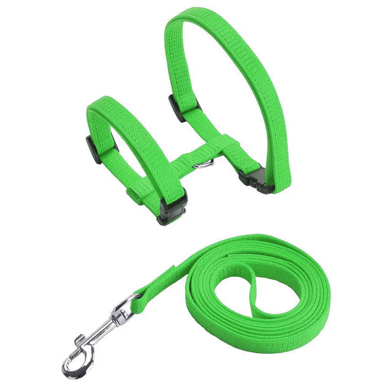Adjustable Nylon Cat Harness & Leash Set