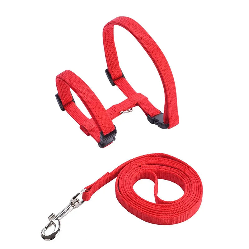 Adjustable Nylon Cat Harness & Leash Set