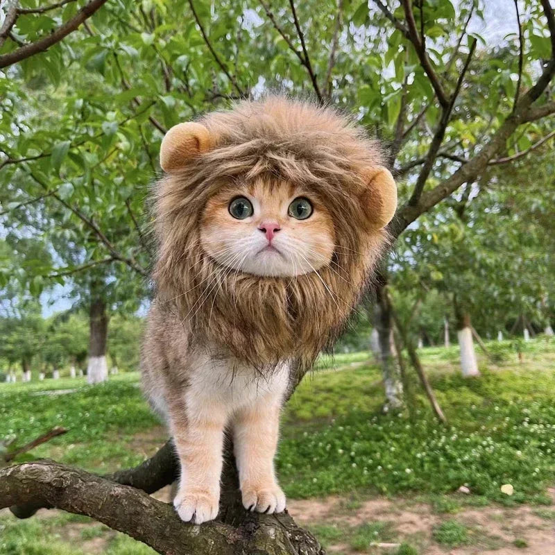 New Cute Funny Pets Clothes Cap Cute Cat Wig Lion Mane Costume Cosplay Kitten Dog Hat with Ears Fancy Party Supplies  halloween