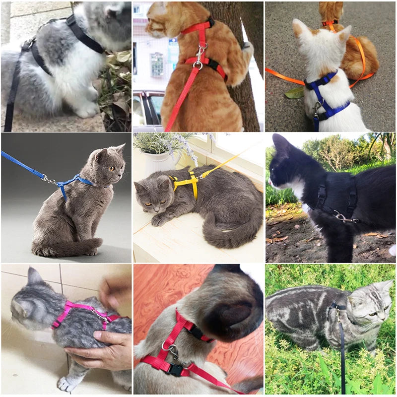 Adjustable Nylon Cat Harness & Leash Set